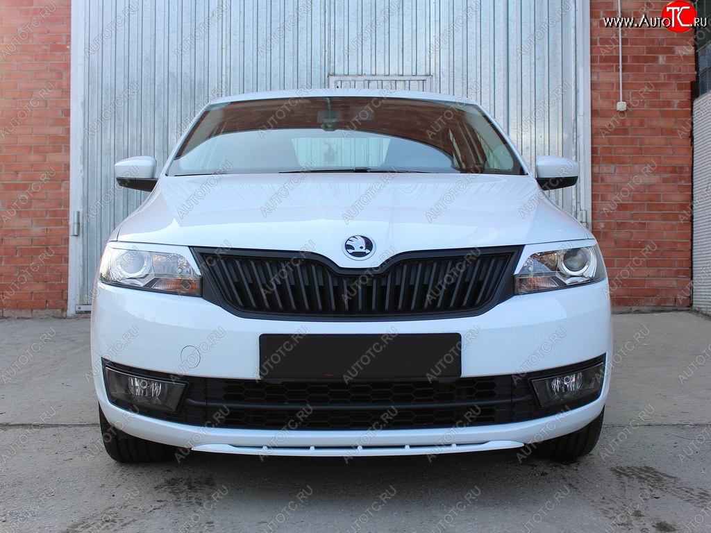 1 149 р. Реснички на фары Tuning-Sport v2 (длинные)  Skoda Rapid ( NH3,  NH1) (2012-2017) дорестайлинг лифтбэк, хэтчбэк дорестайлинг (Неокрашенные)  с доставкой в г. Майкоп