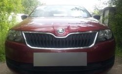 2 339 р. Сетка на бампер Russtal (черная) Skoda Rapid NH1 хэтчбэк дорестайлинг (2012-2017)  с доставкой в г. Майкоп. Увеличить фотографию 2