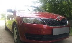 2 339 р. Сетка на бампер Russtal (черная) Skoda Rapid NH1 хэтчбэк дорестайлинг (2012-2017)  с доставкой в г. Майкоп. Увеличить фотографию 3