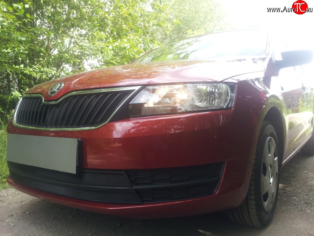 2 339 р. Сетка на бампер Russtal (черная) Skoda Rapid NH1 хэтчбэк дорестайлинг (2012-2017)  с доставкой в г. Майкоп