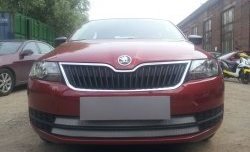 2 399 р. Сетка на бампер Russtal (хром) Skoda Rapid NH1 хэтчбэк дорестайлинг (2012-2017)  с доставкой в г. Майкоп. Увеличить фотографию 2