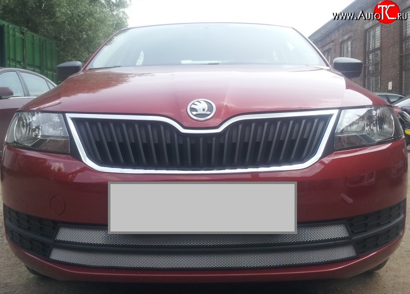 2 399 р. Сетка на бампер Russtal (хром) Skoda Rapid NH1 хэтчбэк дорестайлинг (2012-2017)  с доставкой в г. Майкоп