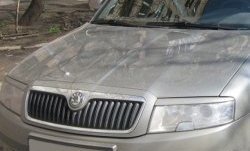 1 649 р. Реснички на фары CT Skoda Superb седан 3U дорестайлинг (2001-2006) (Неокрашенные)  с доставкой в г. Майкоп. Увеличить фотографию 2
