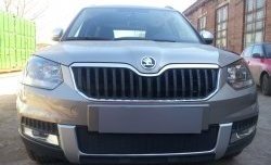 Сетка в решетку радиатора Russtal Skoda Yeti (2013-2018) (черная)