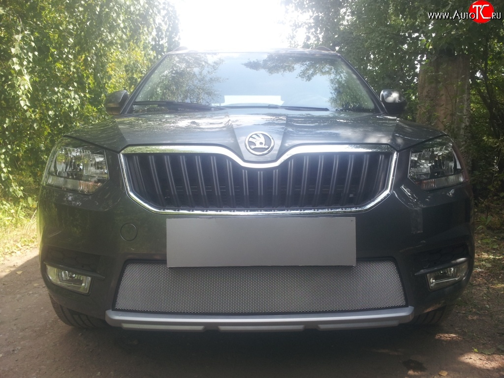1 539 р. Сетка на бампер City Russtal (хром) Skoda Yeti (2013-2018)  с доставкой в г. Майкоп