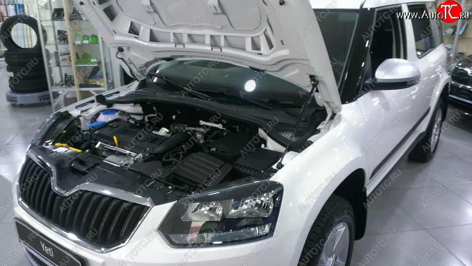 2 199 р. Газовый упор капота Berkut Skoda Yeti (2009-2013)  с доставкой в г. Майкоп