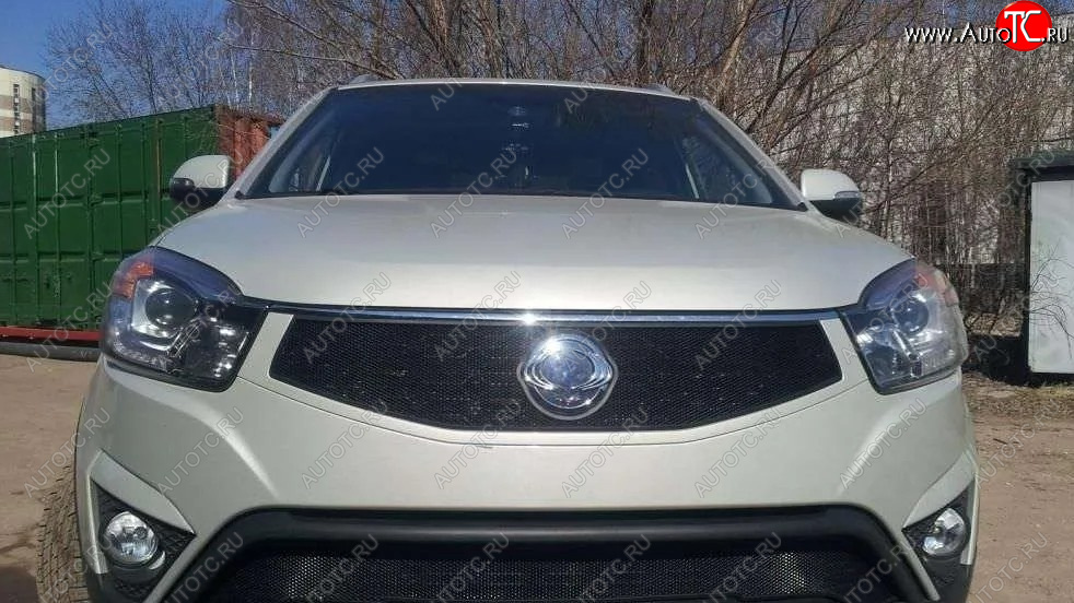 1 469 р. Защитная сетка в решетку радиатора Russtal SSANGYONG Actyon рестайлинг (2013-2021)  с доставкой в г. Майкоп