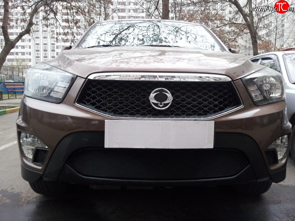 1 469 р. Сетка на бампер Russtal (черная) SSANGYONG Actyon Sport (2012-2025)  с доставкой в г. Майкоп