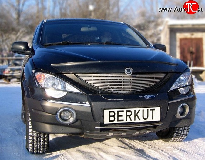 5 999 р. Декоративная вставка решетки радиатора Berkut SSANGYONG Actyon 1 (2006-2010)  с доставкой в г. Майкоп