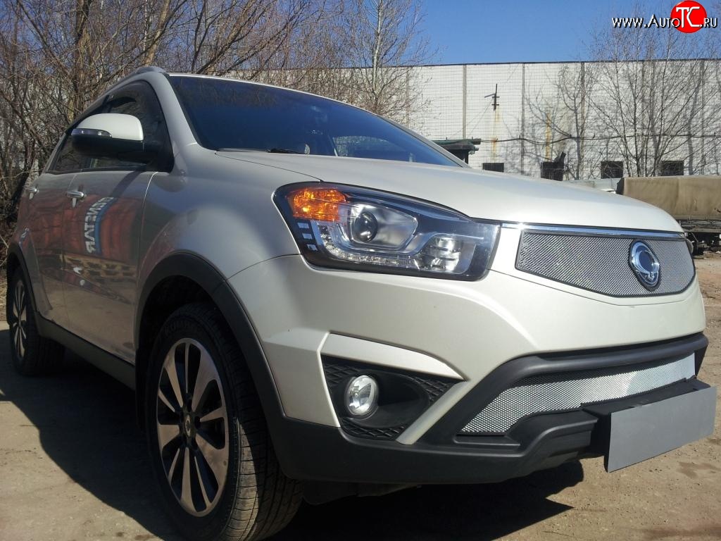 1 539 р. Нижняя сетка на бампер Russtal (хром) SSANGYONG Actyon рестайлинг (2013-2021)  с доставкой в г. Майкоп