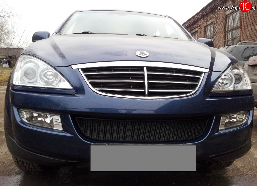 1 469 р. Сетка на бампер Russtal (черная) SSANGYONG Kyron дорестайлинг (2005-2007)  с доставкой в г. Майкоп