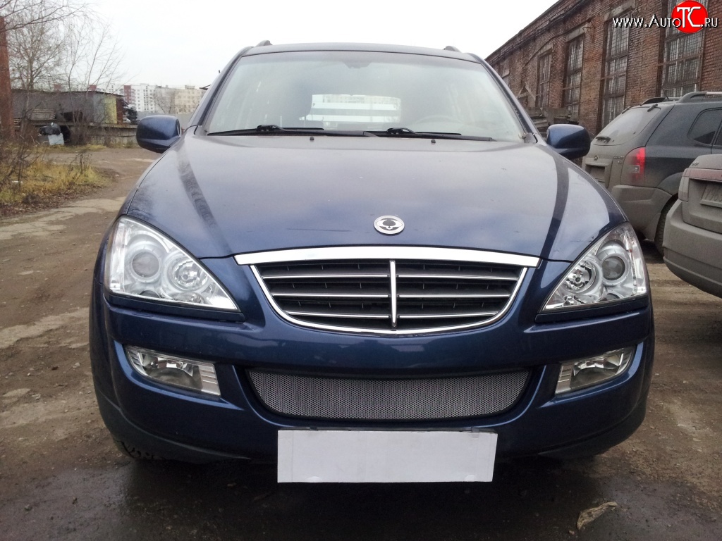 1 539 р. Сетка на бампер Russtal (хром) SSANGYONG Kyron дорестайлинг (2005-2007)  с доставкой в г. Майкоп