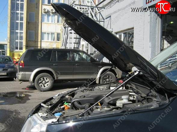 2 199 р. Газовые упоры капота Berkut Suzuki Grand Vitara JT 3 двери 2-ой рестайлинг (2012-2016)  с доставкой в г. Майкоп