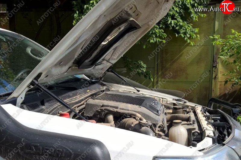 1 649 р. Газовые упоры капота (рестайлинг) Berkut Toyota Hilux AN20,AN30  2-ой рестайлинг (2011-2016)  с доставкой в г. Майкоп