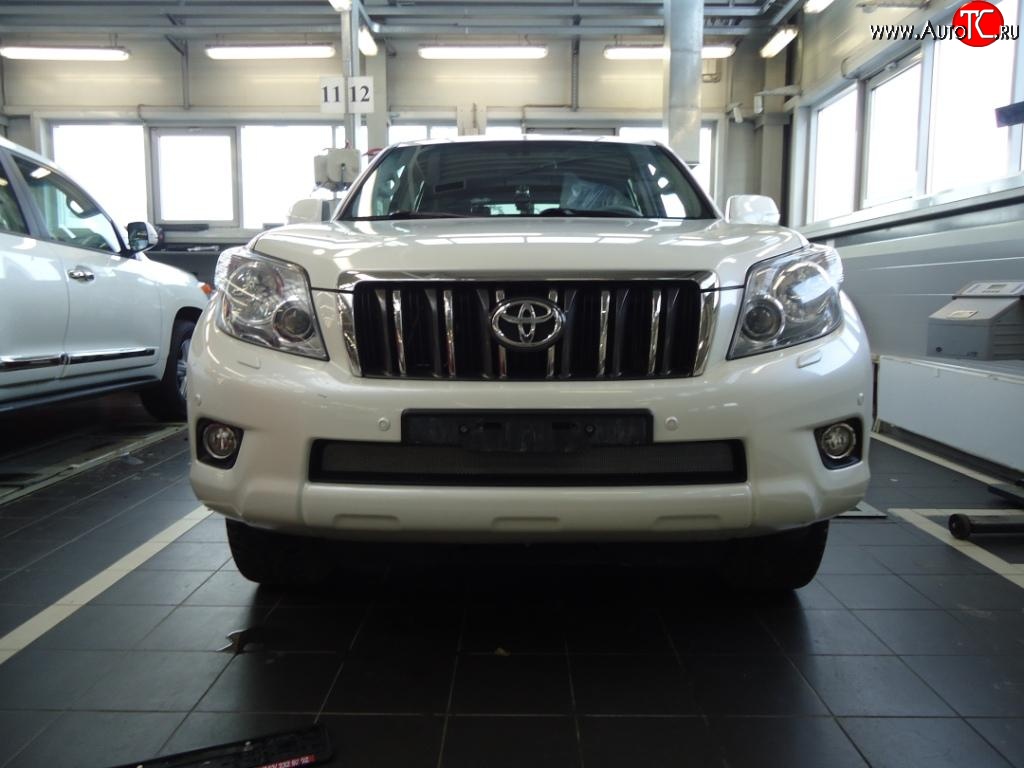 1 539 р. Сетка на бампер Russtal (хром) Toyota Land Cruiser Prado J150 дорестайлинг (2009-2013)  с доставкой в г. Майкоп