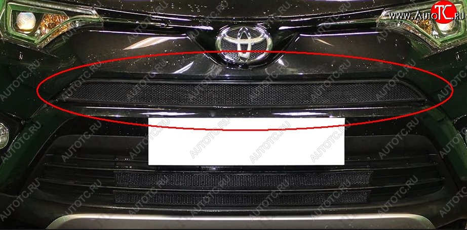 1 469 р. Сетка в решетку радиатора Russtal Toyota RAV4 XA40 5 дв. рестайлинг (2015-2019) (черная)  с доставкой в г. Майкоп