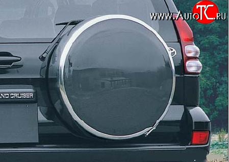 7 449 р. Бокс запасного колеса Ралекс-Тюнинг Toyota RAV4 XA30 5 дв. 2-ой рестайлинг (2010-2013) (215/65R16, Тарелочка неокрашенная)  с доставкой в г. Майкоп