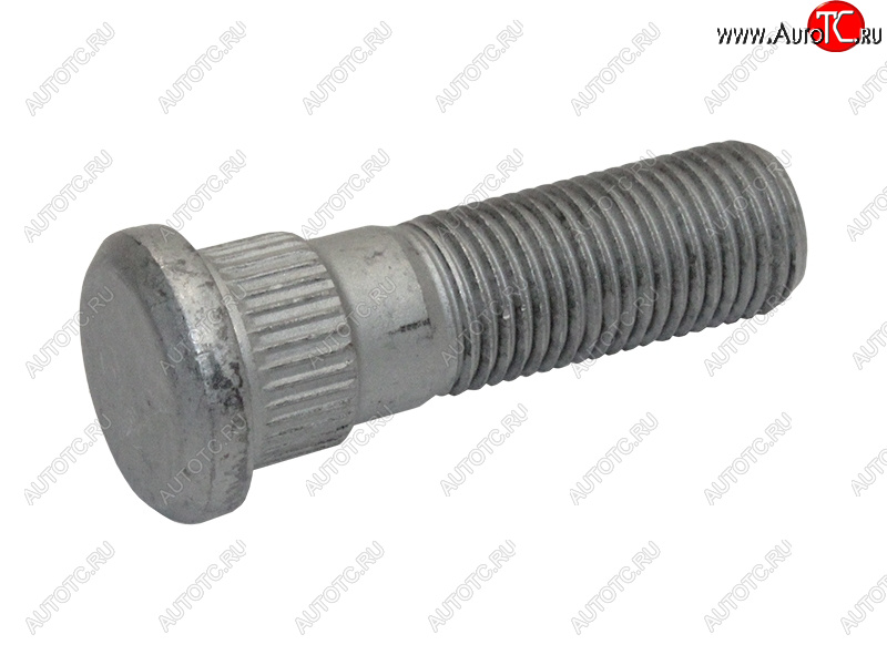119 р. Забивная шпилька ступицы колеса NISSAN (43222-70T00) M12x1.25 x 5.0 Nissan Qashqai +2 1 J10 дорестайлинг (2008-2010) Увеличить фотографию 1 119 р. Забивная шпилька ступицы колеса NISSAN (43222-70T00) M12x1.25 x 5.0 Nissan Qashqai +2 1 J10 дорестайлинг (2008-2010)