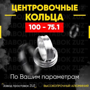 Алюминиевое центровочное кольцо  (4 шт) ЗУЗ 75.1 x 100.0 