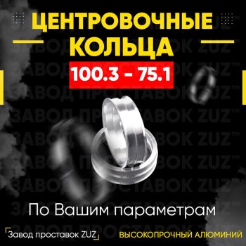 Алюминиевое центровочное кольцо  (4 шт) ЗУЗ 75.1 x 100.3 