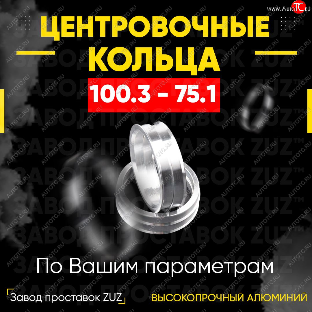 1 849 р. Алюминиевое центровочное кольцо   (4 шт) ЗУЗ 75.1 x 100.3    с доставкой в г. Майкоп