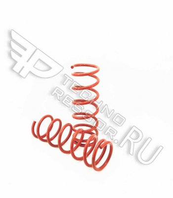 Комплект задних пружин Техно Рессор (-30) Лада 2101 - 2107