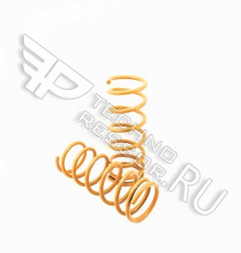 Комплект задних пружин Техно Рессор (-50) Лада 2101 - 2107