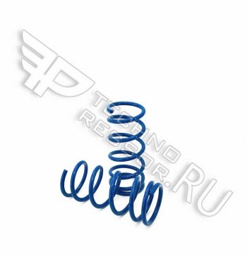 Комплект задних пружин Техно Рессор (-90) Лада 2101 - 2107