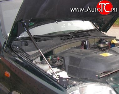 2 049 р. Упор капота Sport Chevrolet Niva 2123 рестайлинг (2009-2020)  с доставкой в г. Майкоп