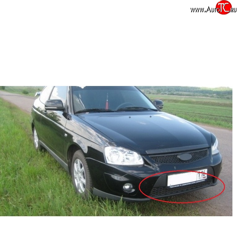 439 р. Решетка бампера 21728 Priora Sport нижняя Лада Приора 2172 хэтчбек дорестайлинг (2008-2014)  с доставкой в г. Майкоп