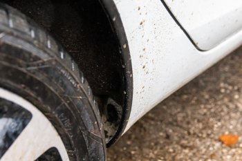 3 999 р. Защитные накладки на арки ArtForm Лада Веста SW 2181 универсал дорестайлинг (2017-2022) (Поверхность: шагрень)  с доставкой в г. Майкоп. Увеличить фотографию 3
