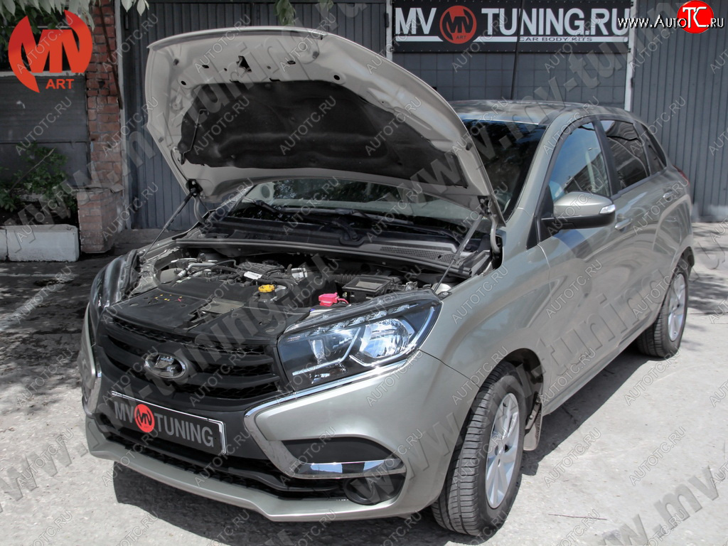 4 099 р. Упор капота MV-Tuning (двойной) Лада XRAY (2016-2022)  с доставкой в г. Майкоп