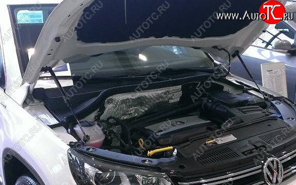 2 199 р. Газовый упор капота Berkut Volkswagen Tiguan NF дорестайлинг (2006-2011)  с доставкой в г. Майкоп